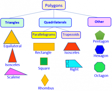 Polygons | MS GARCIA MATH