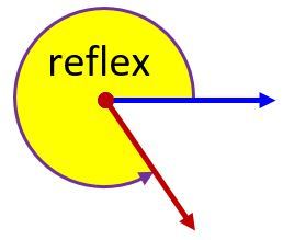 examples of reflex angles in the home